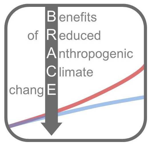 logo for the BRACE project